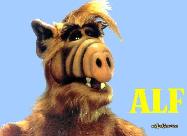 mv1249 (800x600, 43 k�...)